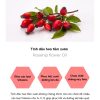 Nước hoa vùng kín Whisis Sweet Girl Inner Perfume 5ml