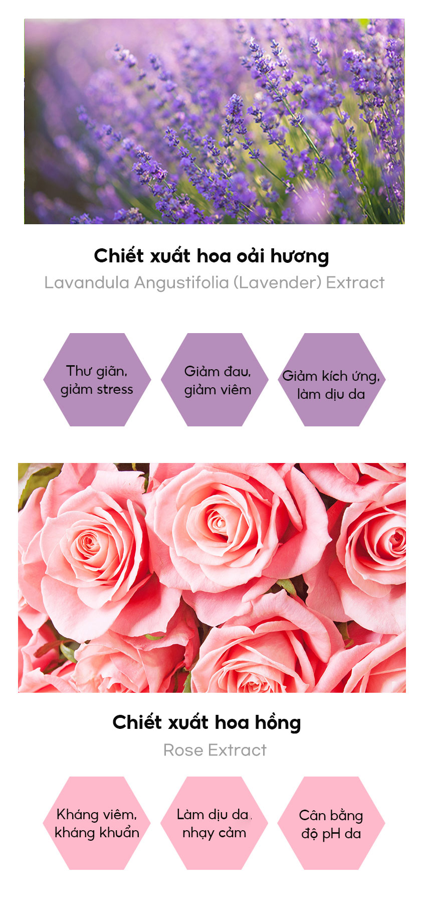 Dung Dịch Vệ Sinh Phụ Nữ X2 Nghệ Nano Whisis pH Girl Feminine Wash 200ml Làm Sạch, Khử Mùi, Dưỡng Ẩm, Giảm Viêm An Toàn