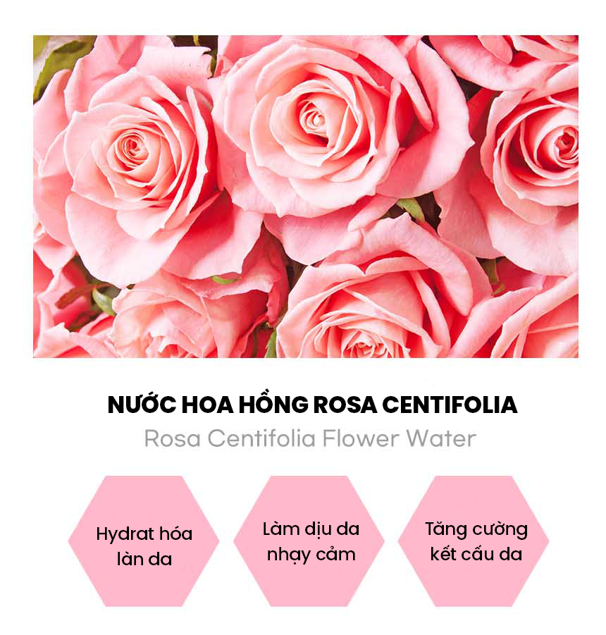 Sữa tắm hoa hồng WHISIS Nature & Parfum Body Wash Rose Blossom 750ml